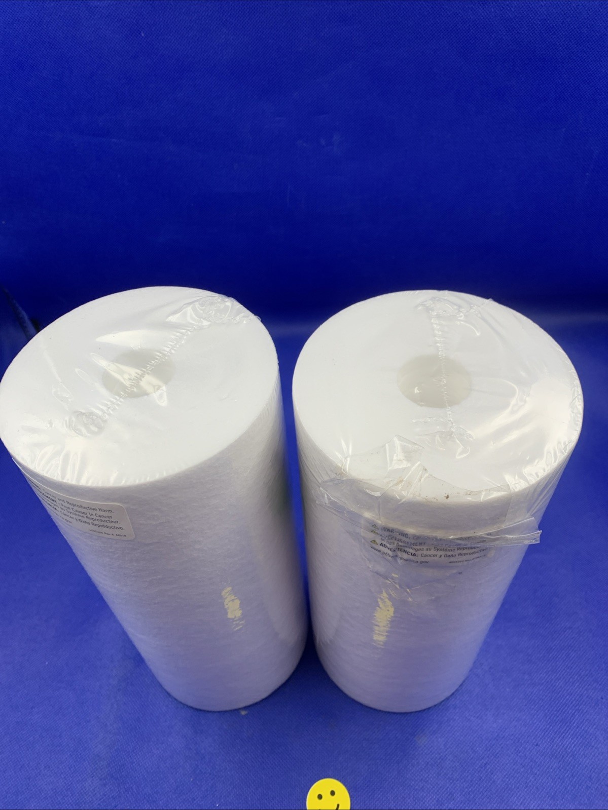 🔥2x Pentair DGD-5005 Big Blue Water Filter, 10-Inch Whole House Sediment Filter