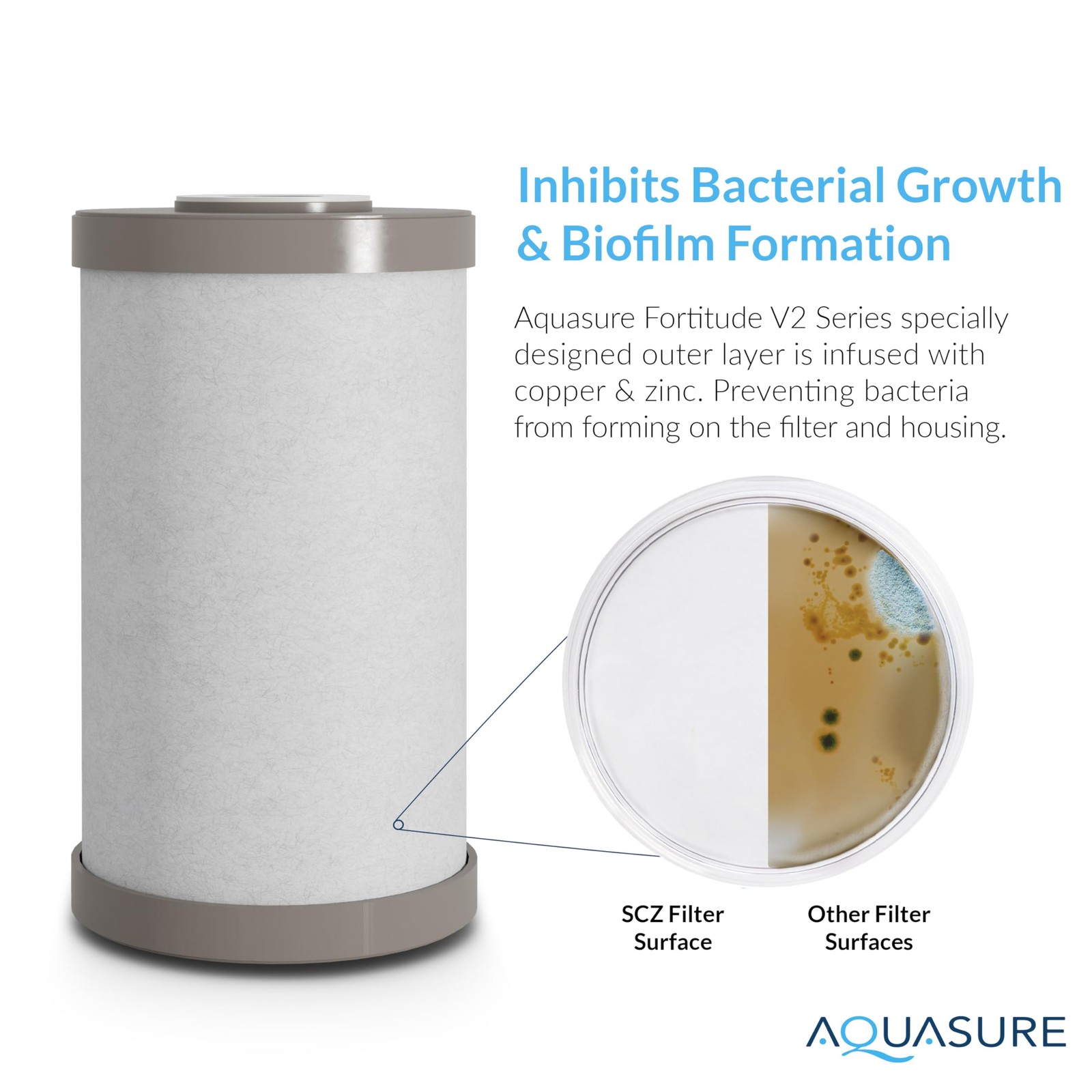 Fortitude V2 Series Sediment/Carbon/Zinc Bacteria Inhibiting Triple Purpose F…