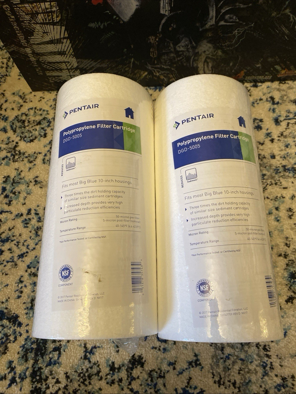 2 Pentair Pentek DGD-5005 Big Blue Water Filter, 10-Inch Whole House Sediment