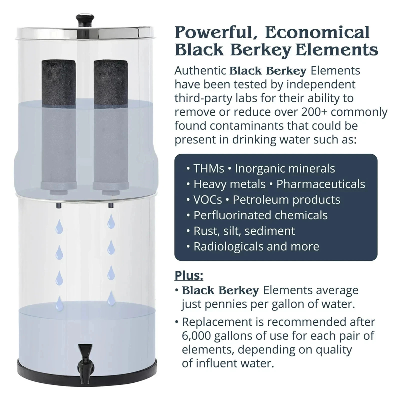 Berkey Authentic Black BB9-2 Water replacement Filters For Berkey Water 2 pack
