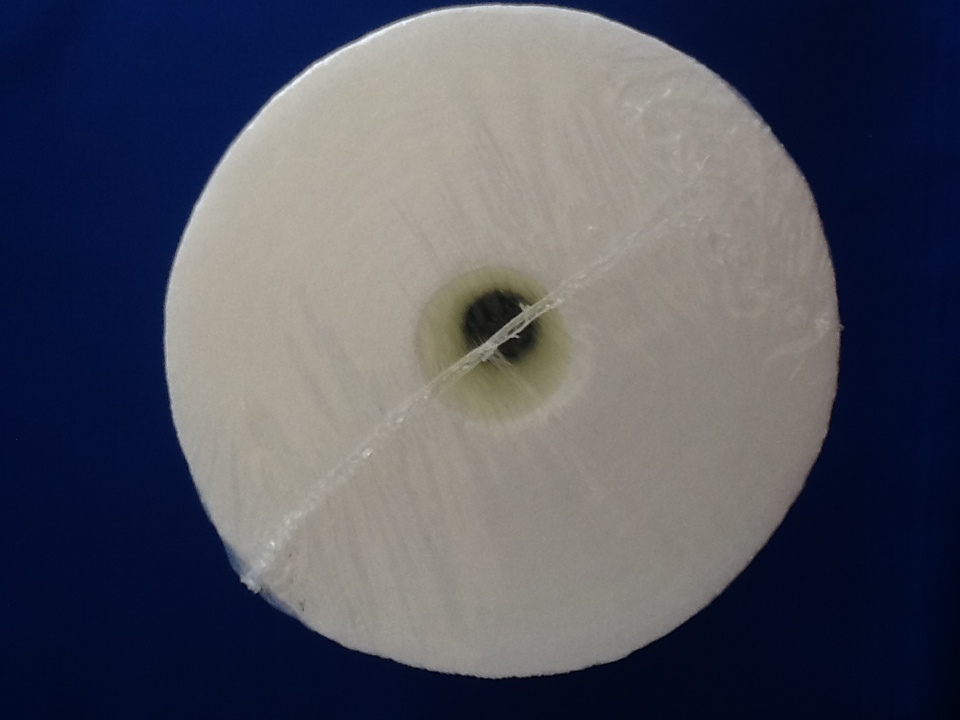 HYDRO CURE DELUXE DG 25/01 BIG BLUE 10″x4.5″ SEDIMENT FILTER – CASE OF 8