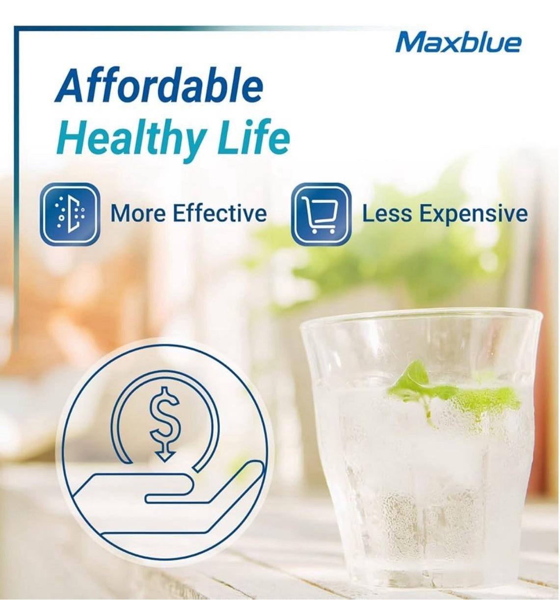 Maxblue Refrigerator Water Filter, Replacement for GE® RPWFE,RPWF(1)