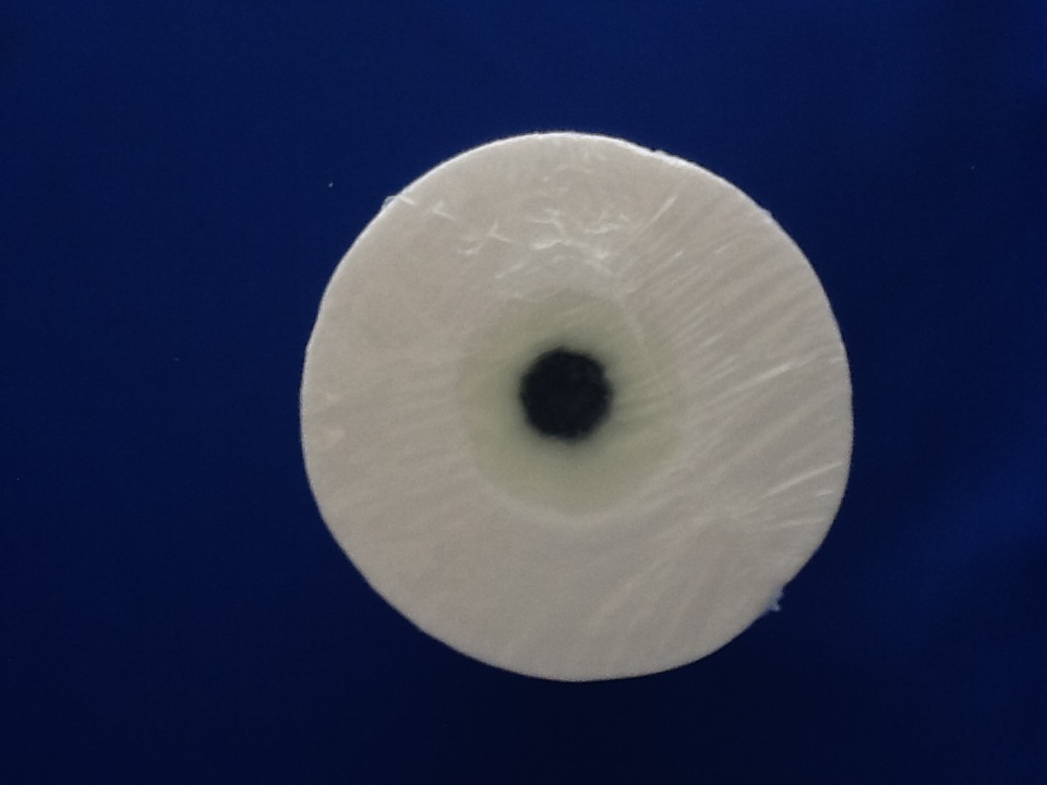 HYDRO CURE DELUXE 50 MICRON 20″x2.5″ SEDIMENT FILTER – CASE OF 25