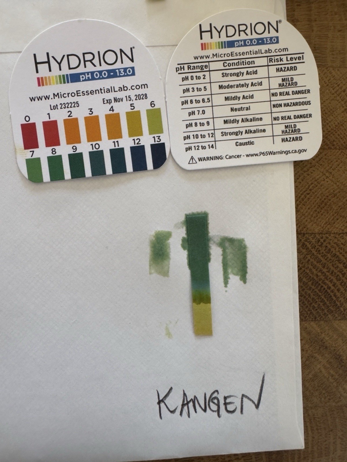 Kangen LeveLuk K8 — Just Cleaned, pH Verified, Complete Kit