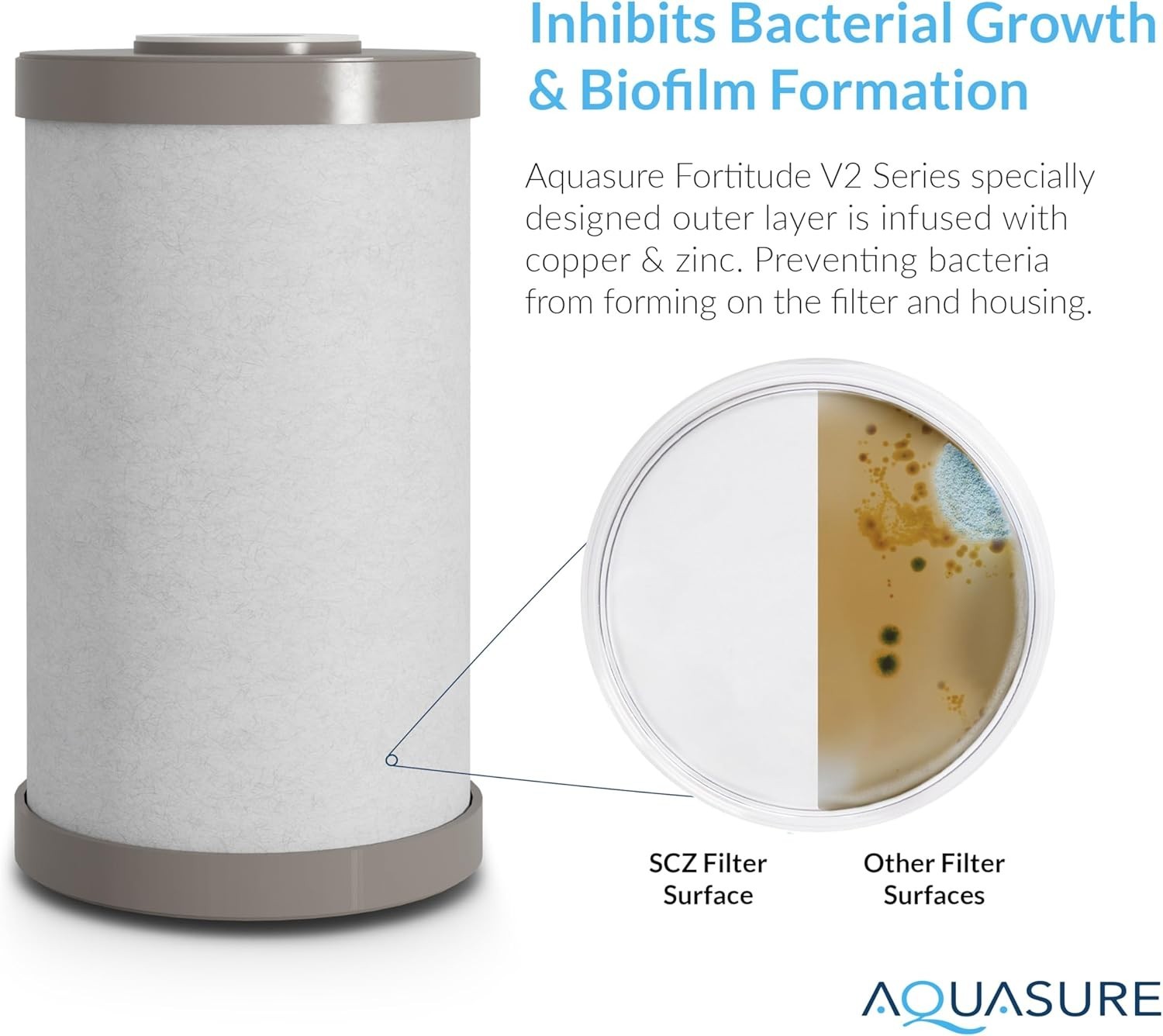 Triple Purpose Sediment Carbon Zinc Filter for Bacteria Inhibition – Standard