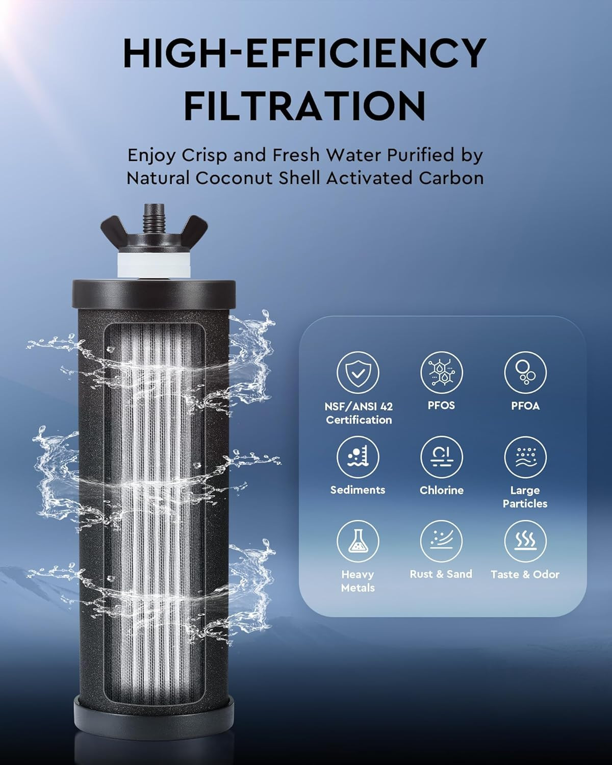 Stainless Steel Gravity Water Filter System with 2 Carbon Filters, 2.25 Gal