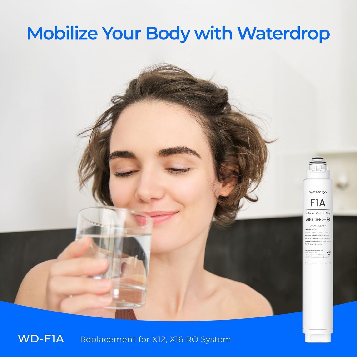 Waterdrop WD-F1A Alkaline Mineral pH+ Filter,Replacement for WD-X12-Alkaline