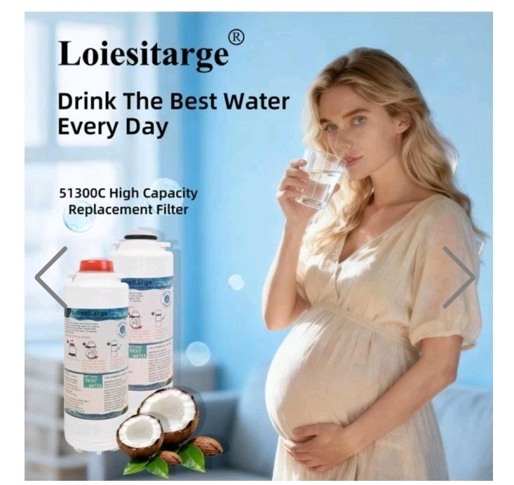 Lot Of 4 Water Filter Replacements Compatible With Elkay 51300C WaterSentry.