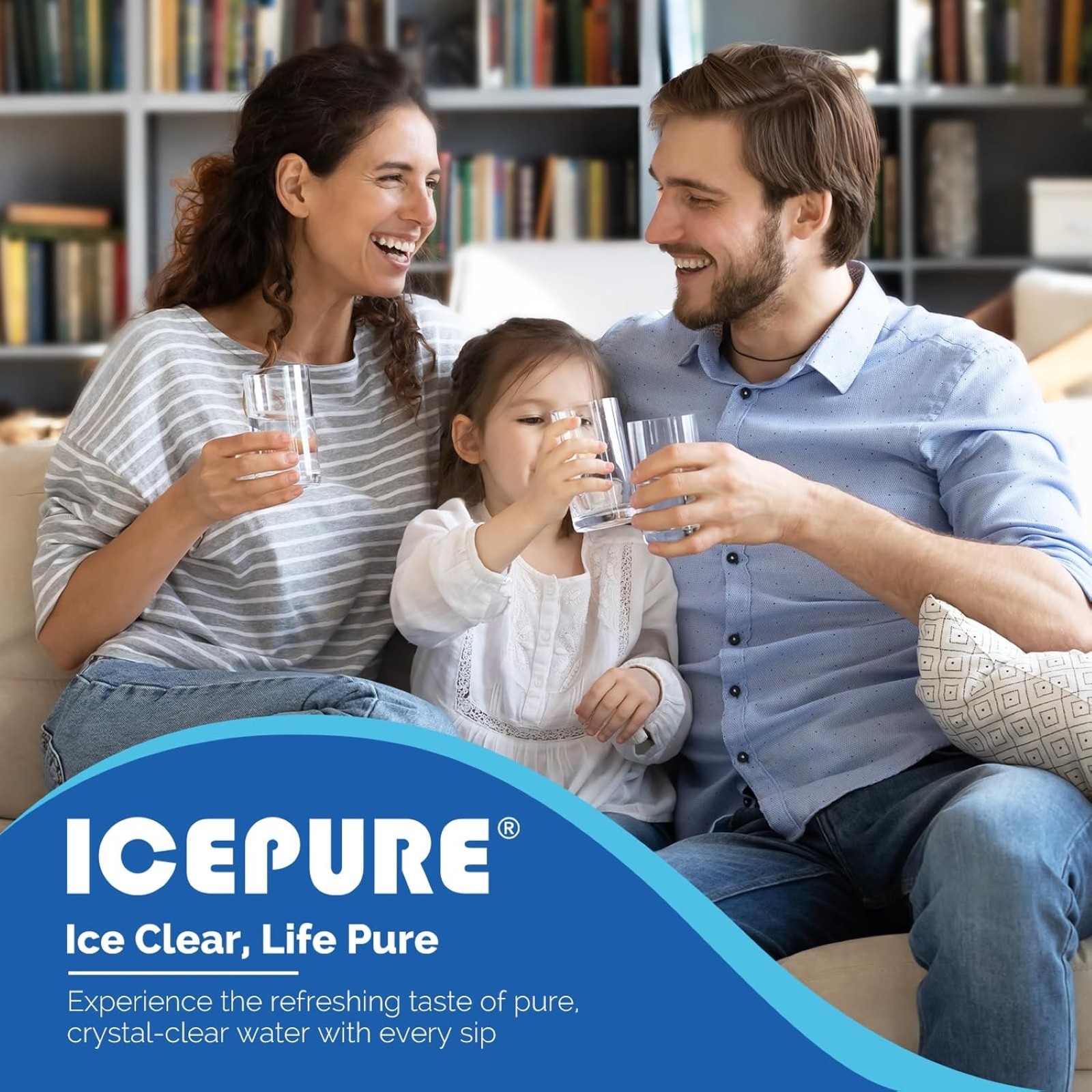 ICEPURE Water Filter Replacement for LG LT800P Kenmore 46-9490 LT120F Air Combo