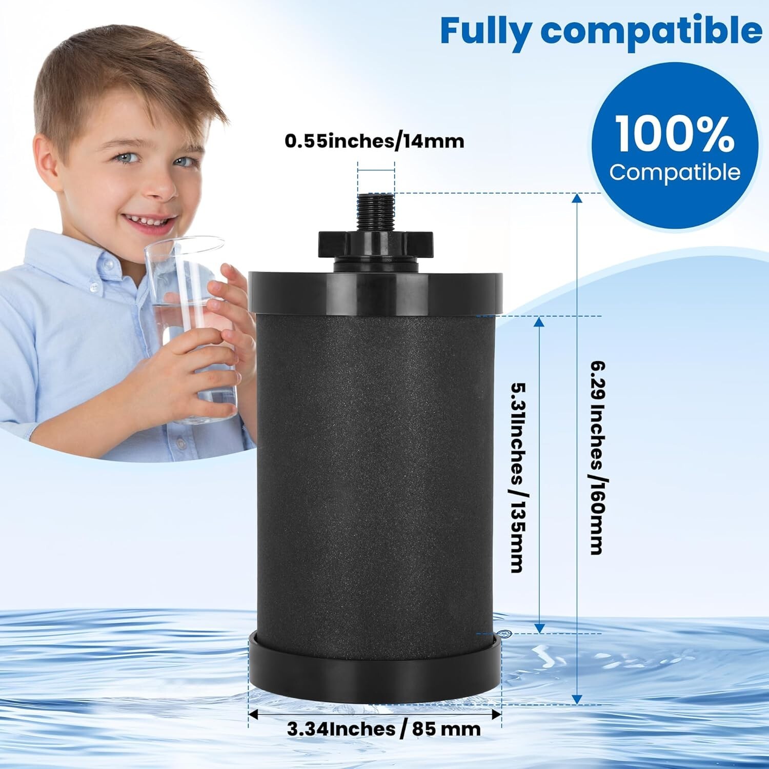 2387 Pro Filter Compatible with Alexapure Pro Gravity Water Filter System 1 F