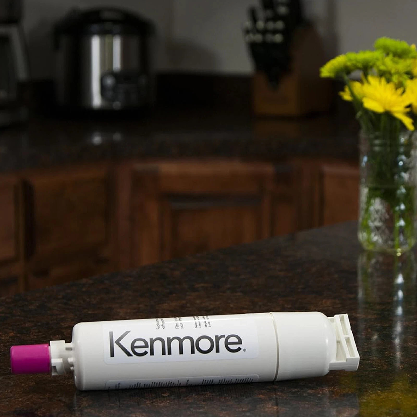 Kenmore 9085 469085 Refrigerator Water Filter CECOMINOD046967 Replacement