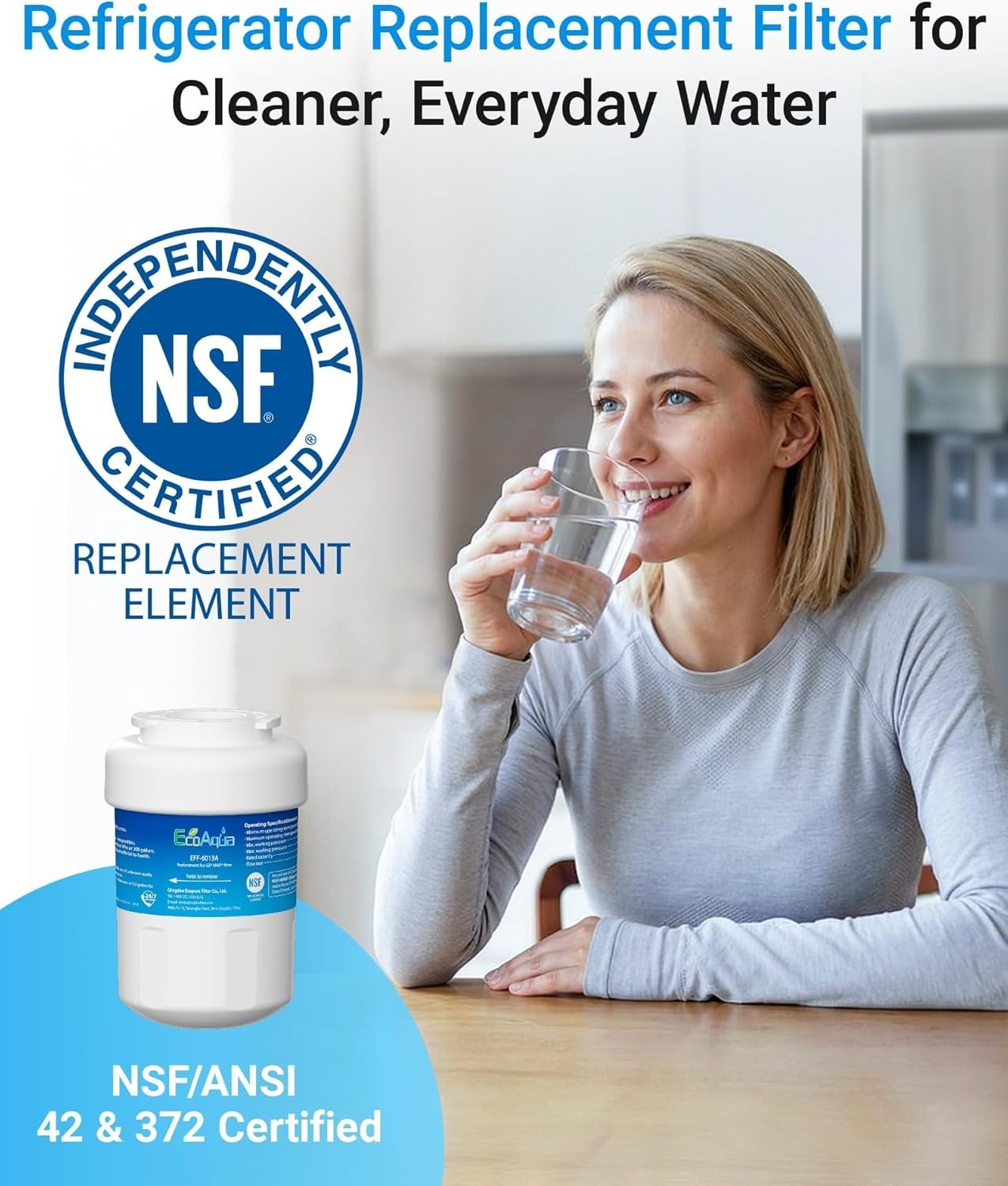 NSF 42 Certified Water Filter Replacement – 2 Pack