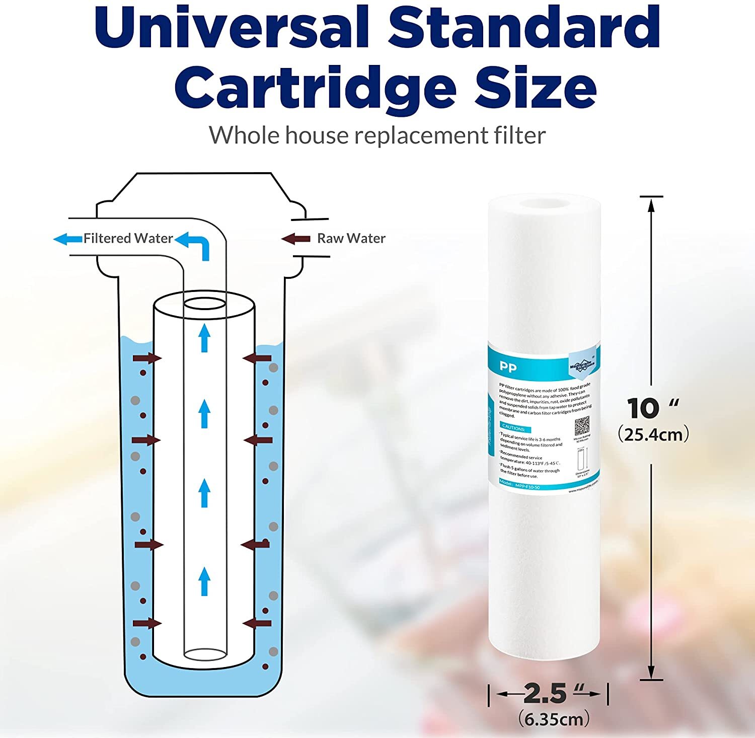 10 Inch Whole House Water Filter System Housing with Sediment Filter Replacement