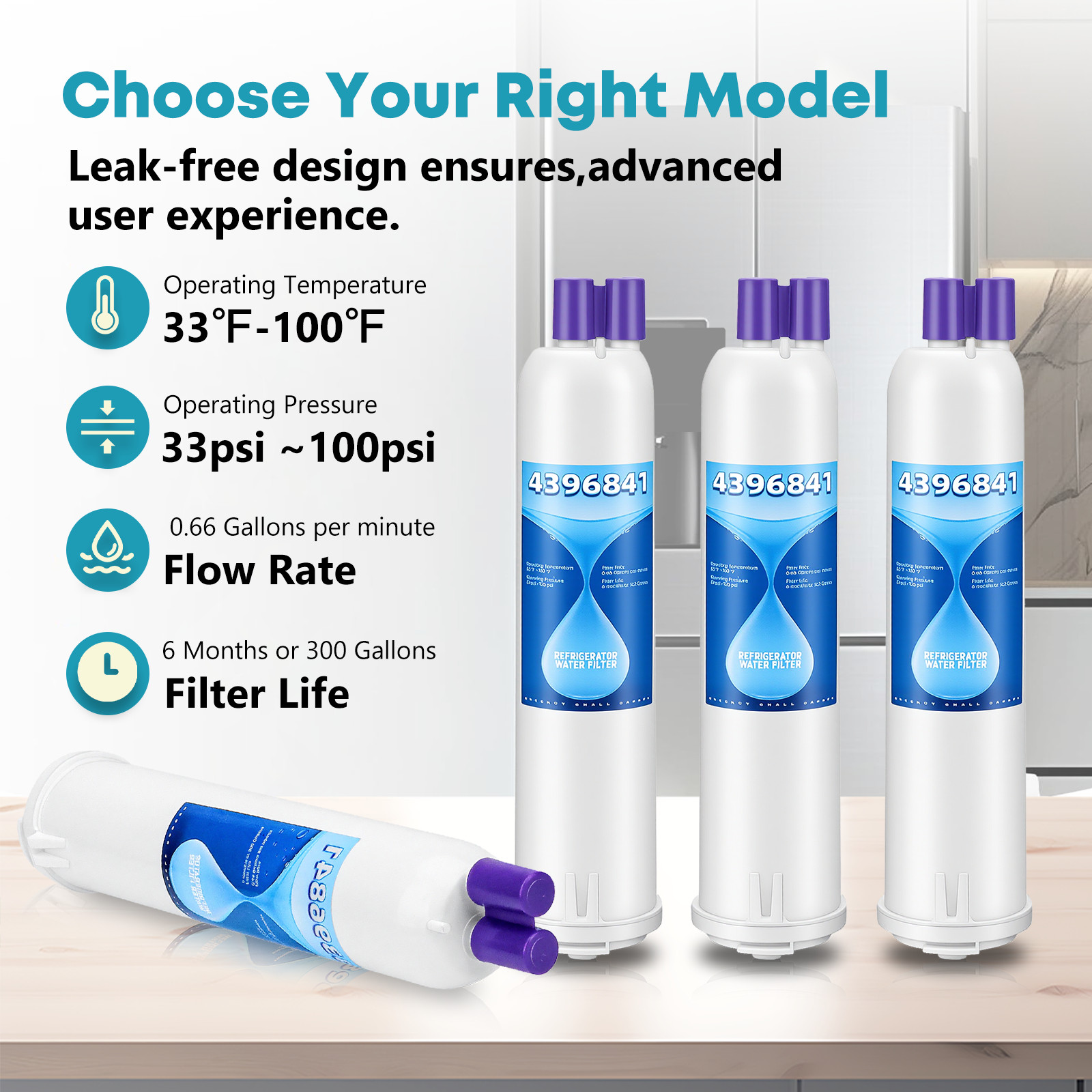 Refrigerator Water Filter Replacement for W10121145 CF-004 46-9083 46-9030