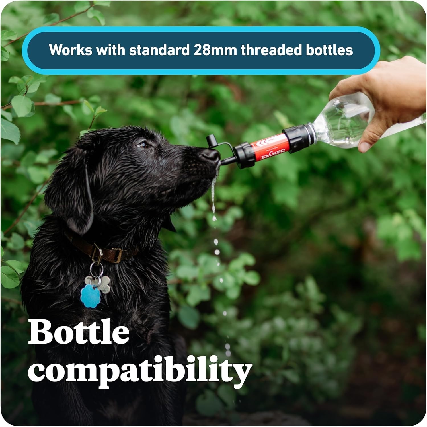 Mini Water Filtration System with 99.999999% Bacteria Protection, Portable Use